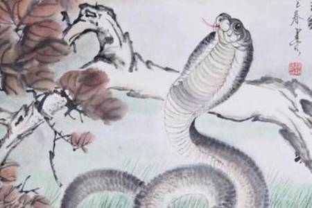 朝三暮四打一生肖——蛇插图