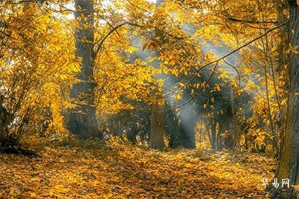 财神爷生日是哪天,2023年农历七月廿二简洁明了,直接给出了问题的答案。在传统文化中,每年的农历七月二十二日是财神的生日,人们会举行庆祝活动祈求财运。,解释,根据提供的内容可知,今年财神爷的生日是在农历七月廿二日。这一天也是中国汉族及部分地区的传统节日——财神节的重要日子之一,人们通过放鞭炮、挂灯笼等习俗来祭拜财神并祈求财富的到来。同时这也是一个送穷神接财神的时刻,寓意着迎接新的开始和好运的到来。,可以包括但不限于关于财神节的起源与传说、民间习俗以及在这一天的活动和传统做法等等。插图 财神爷生日是哪天,2023年农历七月廿二简洁明了,直接给出了问题的答案。在传统文化中,每年的农历七月二十二日是财神的生日,人们会举行庆祝活动祈求财运。,解释,根据提供的内容可知,今年财神爷的生日是在农历七月廿二日。这一天也是中国汉族及部分地区的传统节日——财神节的重要日子之一,人们通过放鞭炮、挂灯笼等习俗来祭拜财神并祈求财富的到来。同时这也是一个送穷神接财神的时刻,寓意着迎接新的开始和好运的到来。,可以包括但不限于关于财神节的起源与传说、民间习俗以及在这一天的活动和传统做法等等。插图