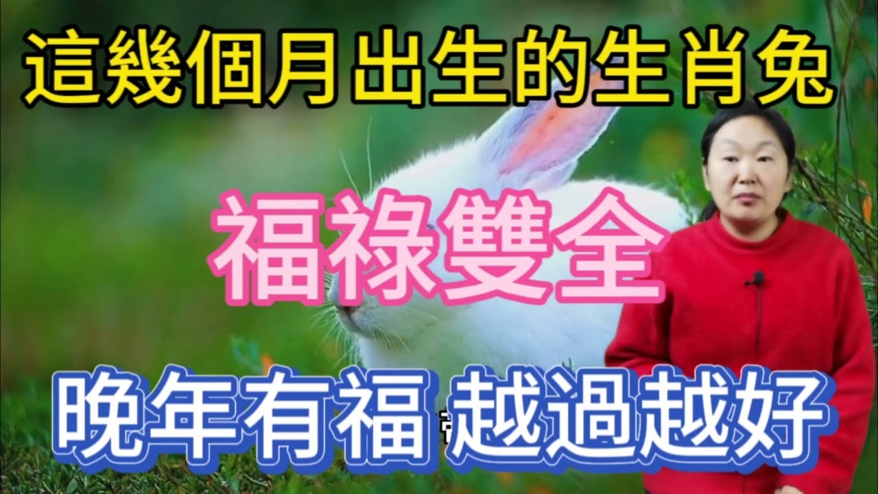 出水芙蓉与生肖，牛兔皆有可能，或是数字29的暗示？插图