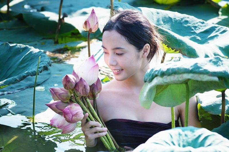 出水芙蓉生肖解析插图