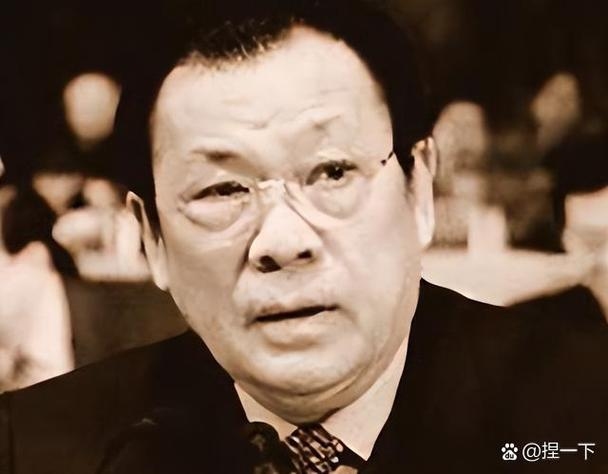 程维高，政治生涯回顾插图