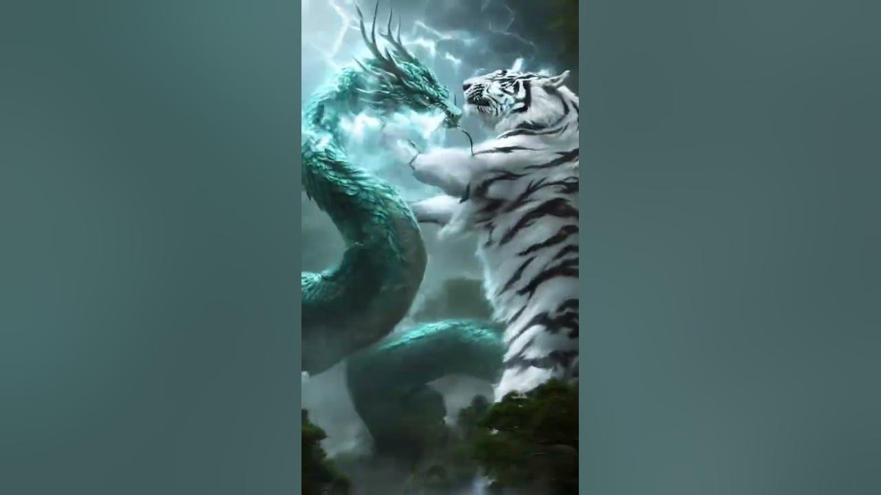 称孤道寡最合生肖虎与龙插图