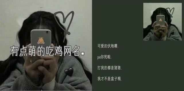 成熟女人的吃鸡网名精选，三字大全插图