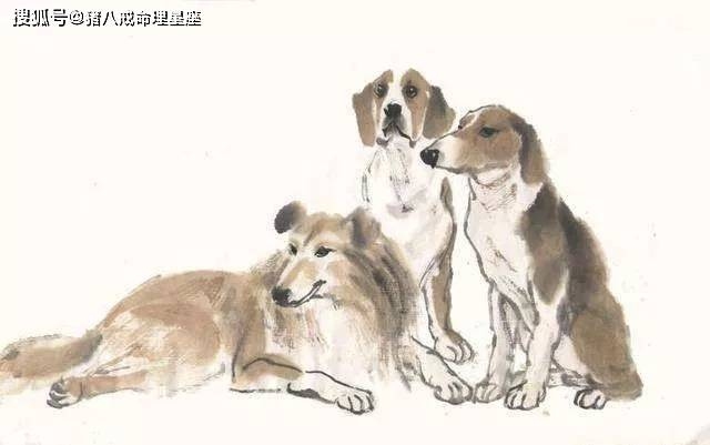 朝暮生肖揭秘，鸡、蛇与狗的解析插图