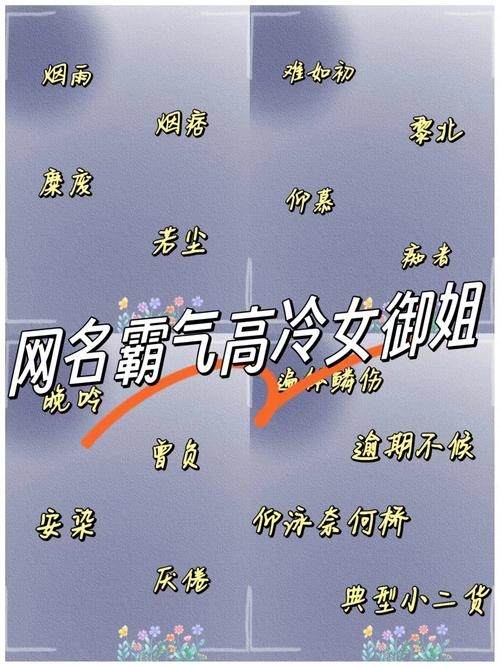 超拽网名女插图