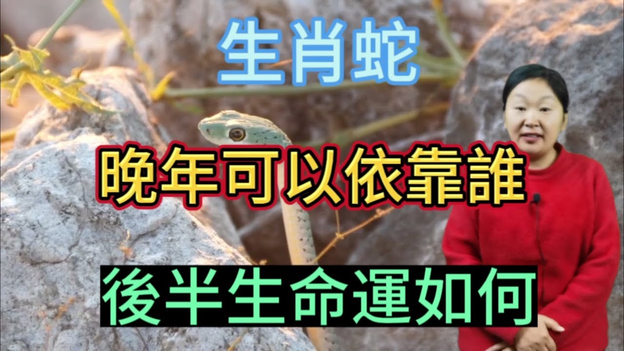 长寿万年生肖蛇插图