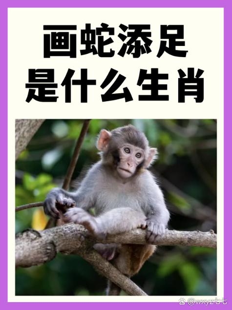 沉默是金打一生肖蛇插图