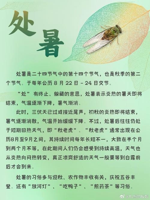 处暑，炎热离开，夏季尾声的节气解析插图