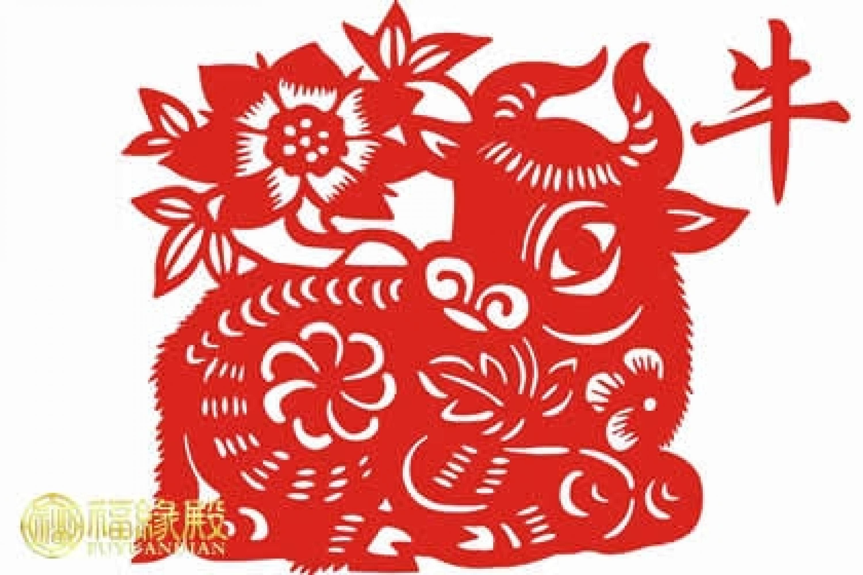 春雨如油，生肖答案揭晓，牛与龙的解读插图