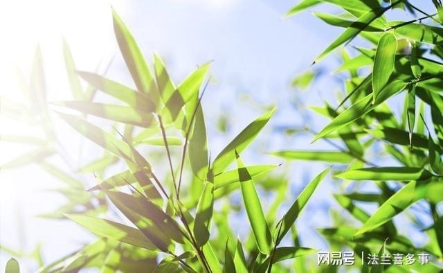 草字头名字精选，莲荷、荫莴、茉节、葡萄芽苗等，适合自然清新男孩女孩取名。插图