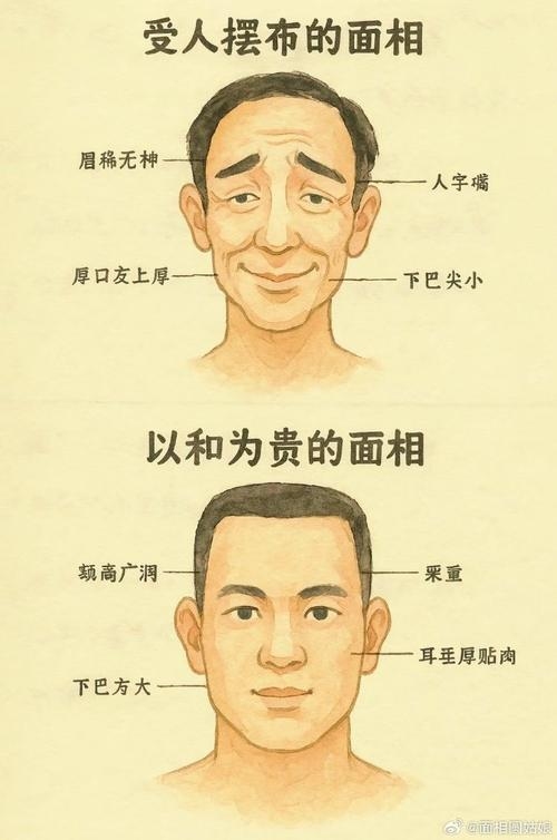 倒八字眉解析，男性气概与面相特征探索插图