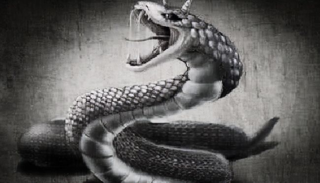 大地万千的生肖之谜，牛、蛇还是马？插图