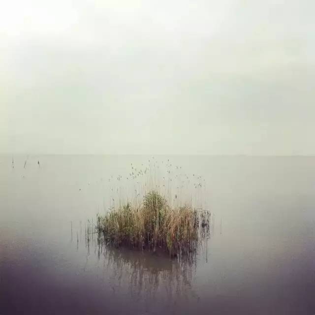 低调优雅男士网名创意推荐，踏雪寻梅、素心若雪、静水深流插图