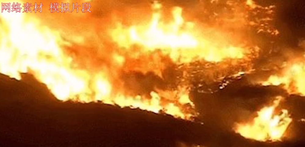 大火烧山野兽伤打一生肖插图