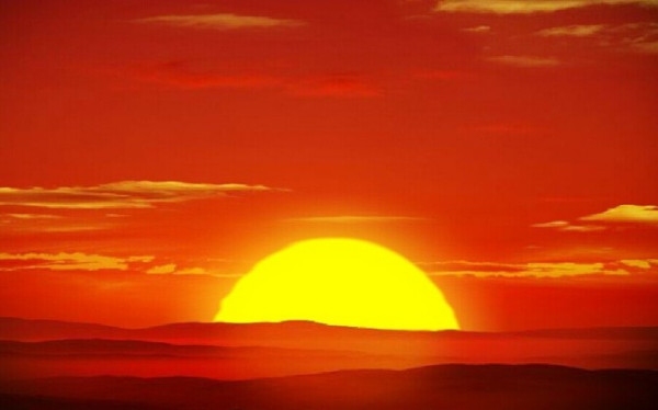 东海一朵花牵藤西山洼花开谜底牛插图