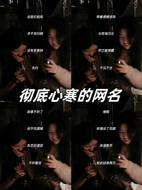 对情失望的伤感网名插图