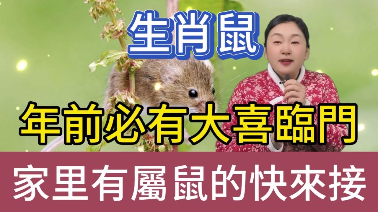 登堂入室生肖鼠插图