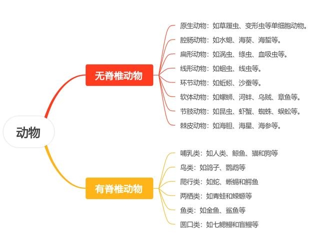 动物名称大全，动物百科知识集锦插图