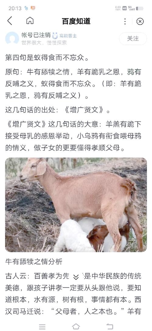 动物无私母爱与感人爱情故事集锦，温情、转折与挑战插图