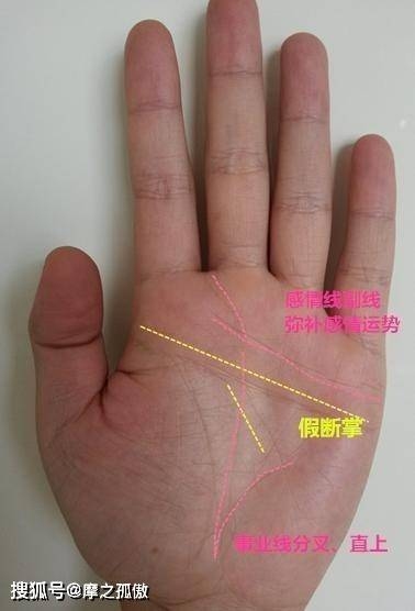 断掌女性的命运解析，智慧非凡，财运亨通还是克夫之命？插图