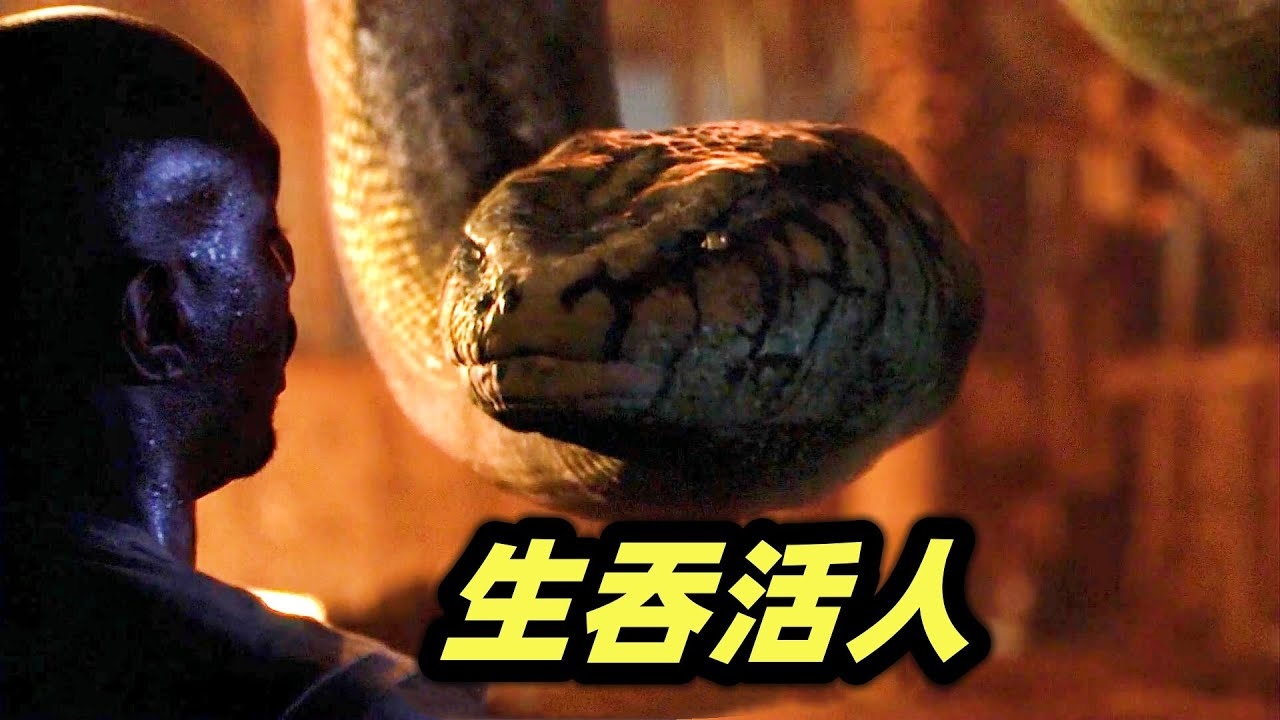 大蟒吞人，警示与生存之道插图