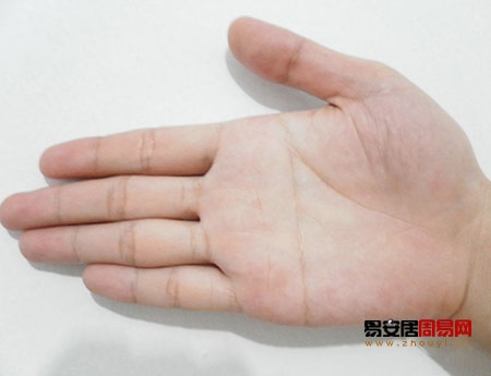 断掌纹男人的性格与命运插图