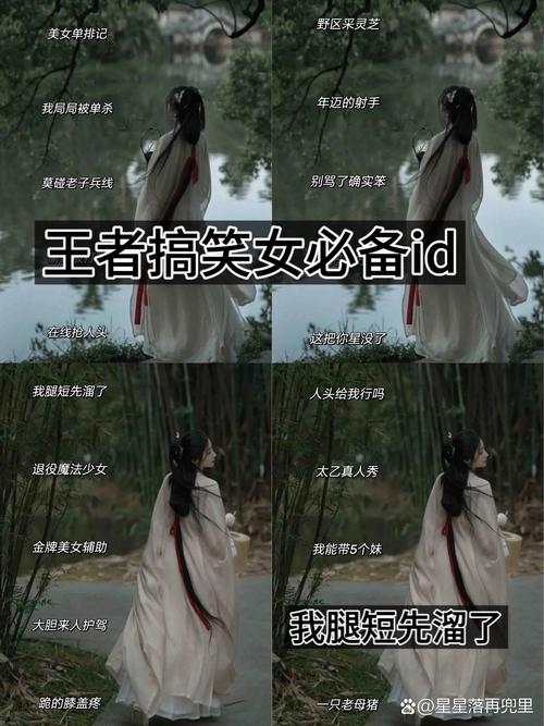 独一无二的王者沙雕名插图