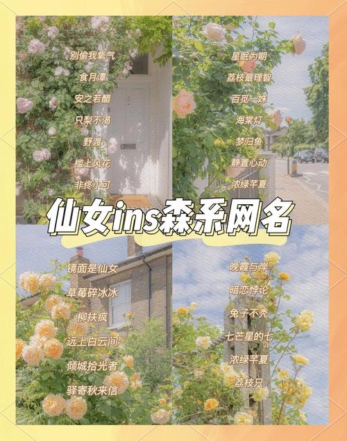 独一无二网名灵感，仙气、游戏女名与独特昵称大集合插图