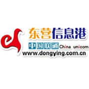 东营信息港聊天室，历史变迁与社交新体验插图