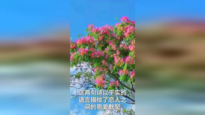 恩爱永恒，情深不渝。插图