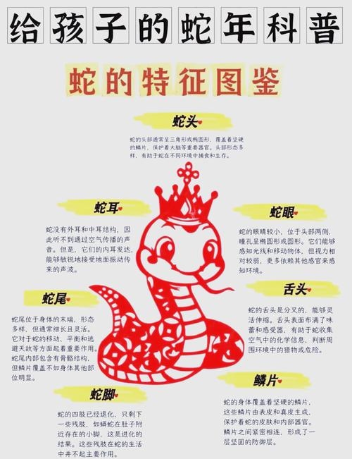 恶贯满盈代表生肖蛇，文化解读与象征意义插图