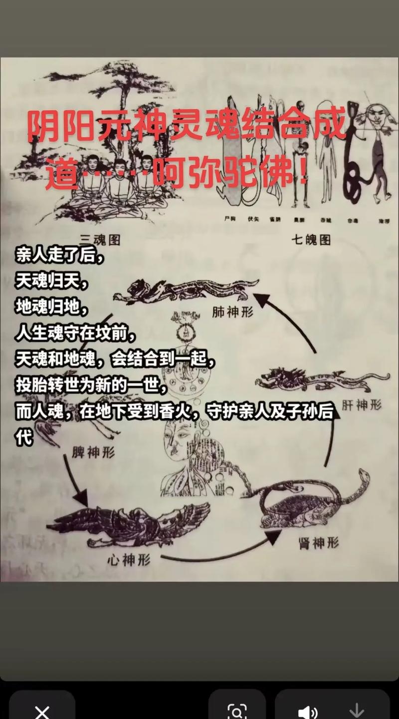 二月二与天胎的神秘联系插图