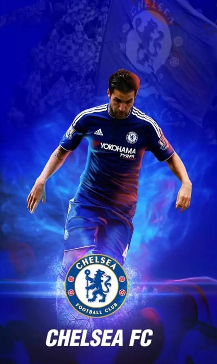 法布雷加斯，球场巨星与感情波折的传奇人生插图