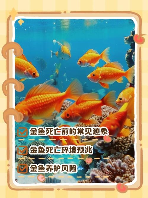 发横财的十大梦境解析，金鱼游动、身上有血、火炉火旺等，暗示财运亨通的周公解梦指南插图