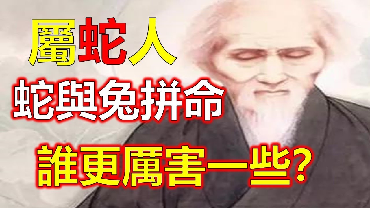 风花雪月与生肖之谜，兔、蛇还是鸡？插图