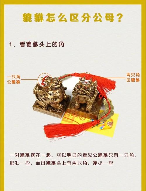 风水法器介绍，铜麒麟、金蟾蜍与罗盘等，多款镇宅招财辟邪工具及摆放须知插图