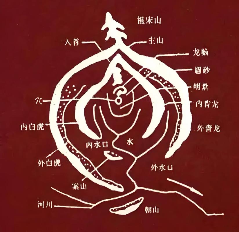 风水论坛注册攻略插图