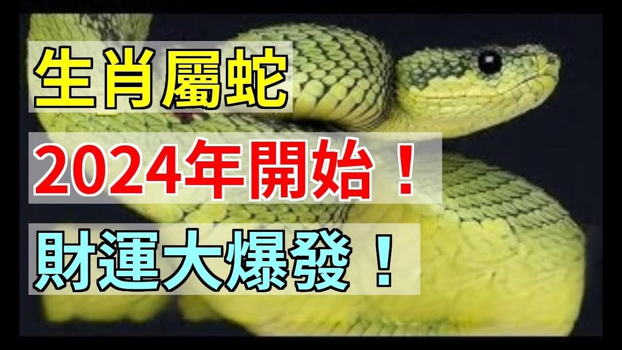 风水宝地与生肖，龙蛇之选插图