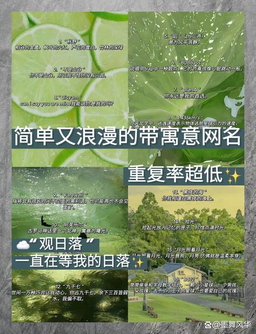 根据提供的文章内容，以下是推荐的标题，，精选QQ网名大集合，诗意、独特与时尚并存！插图