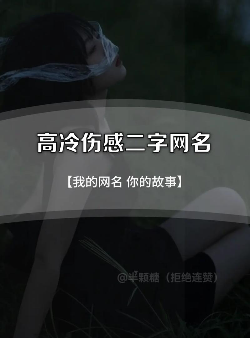 高冷昵称二字热门网名插图