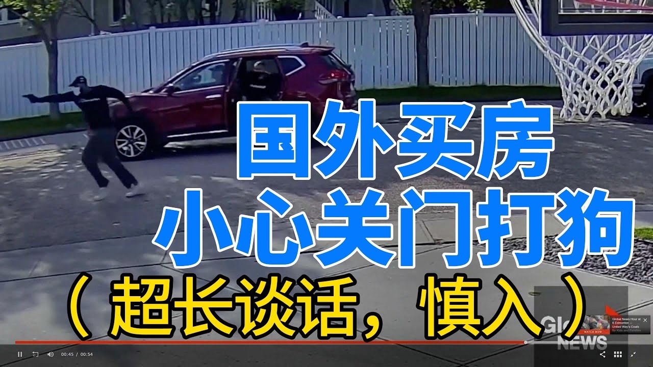 关门打狗生肖解读插图