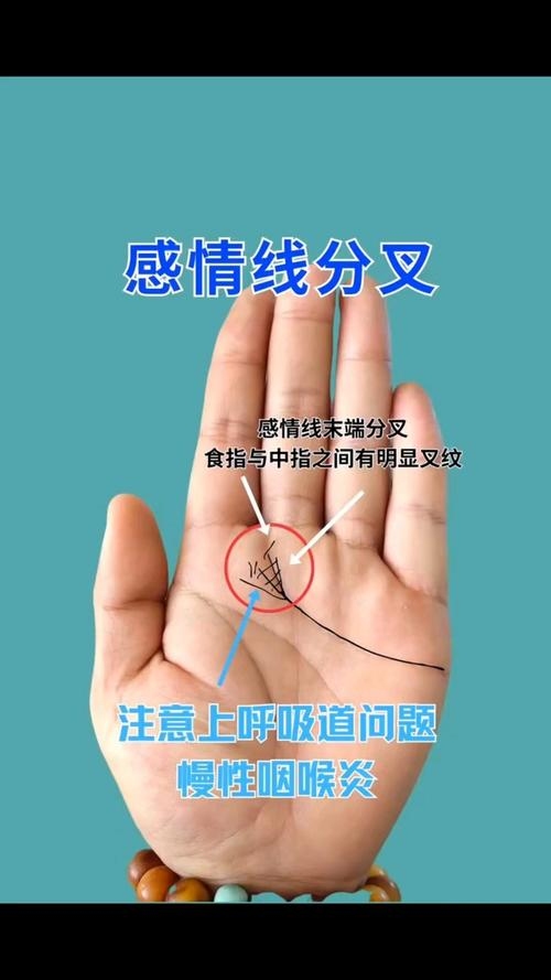 感情线末端分叉解读插图