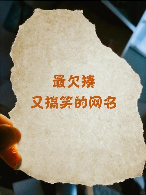 搞笑欠揍的网名集锦，萌趣、自嘲与反叛的融合插图