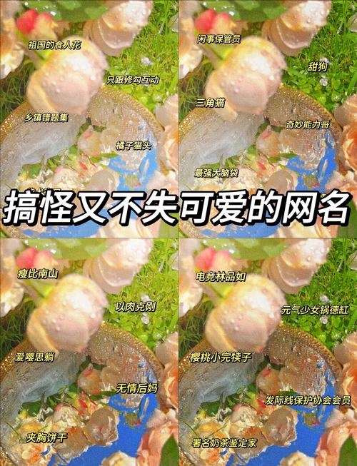 搞笑QQ网名大赏，病猫、农夫拳与英雄传插图