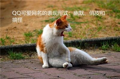 搞笑QQ名字精选，，精致猪猪自嘲可爱萌。，小新卖蜡笔幽默联想。，农村卡哇伊反差幽默风。，小污见大污逗趣十足。，鬼马精灵开心果形象。，自嘲逗比欢乐多。笑点满满，轻松愉悦的氛围营造者！插图