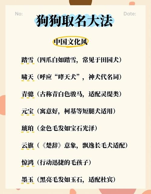 个性狗狗名字精选，霸气网红之选如狂狼、铁血，彰显野性与力量；温馨甜蜜之名如甜甜、Danae，尽显时尚与优雅魅力。插图