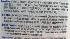 搞笑英文名精选插图