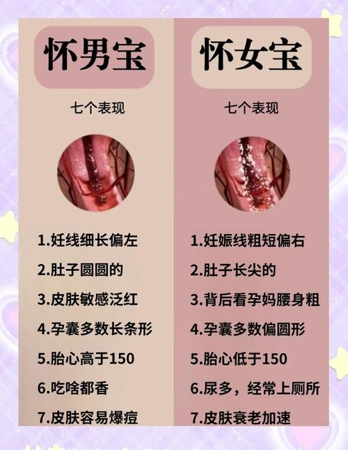 关于怀孕知识科普，如何预测宝宝性别与孕期注意事项？插图