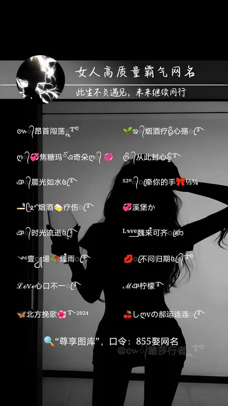 关于快手昵称的精选推荐，炫酷霸气、独特好听的快手名字大全插图