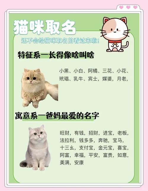 关于名字的好听与寓意解析，雅琳、琪瑶等女孩名，猎人、恺撒等猫咪名，以及独特微信昵称推荐插图